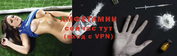 стаф Балахна