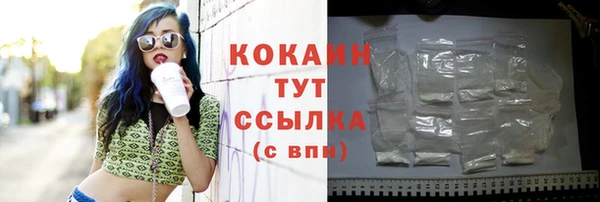 тгк Арсеньев