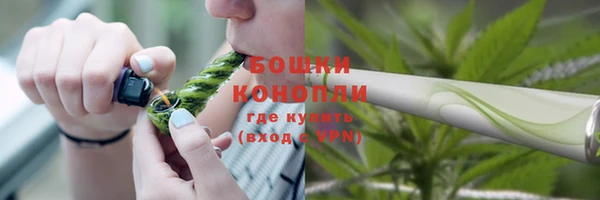 MESCALINE Аркадак